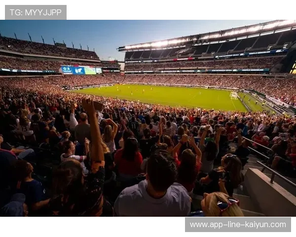 2026世界杯场馆采用可再生能源，绿色环保理念凸显，世界杯申办2026